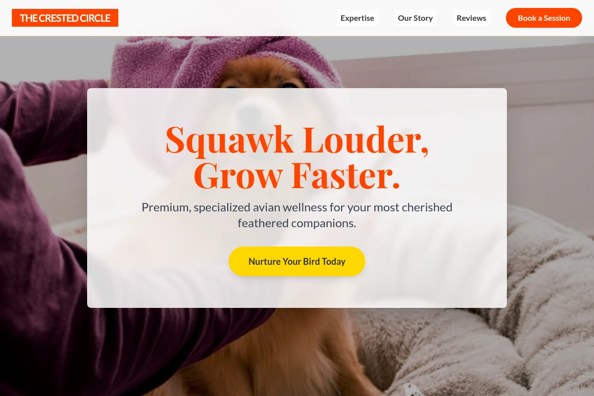 Parakeet Animal Care